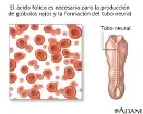 Deficiencia de folato
